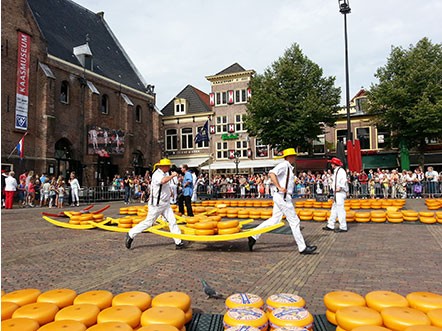 Kaasmarkten in Alkmaar