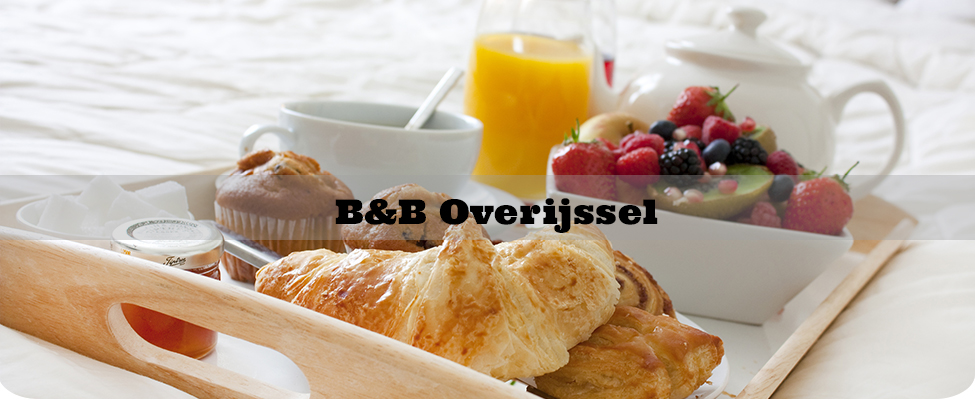 B&B Overijssel B&B Overijssel