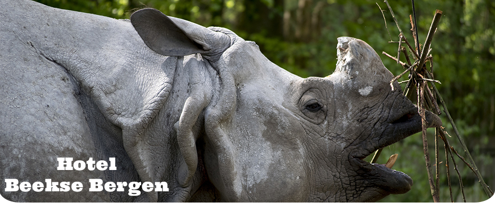 Hotel Beekse Bergen Hotel Beekse Bergen