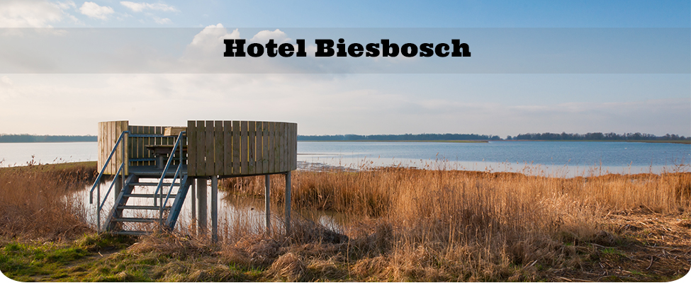 Hotel Biesbosch Hotel Biesbosch