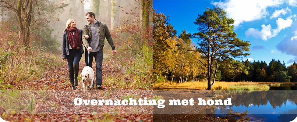 Overnachting met hond Overnachting met hond