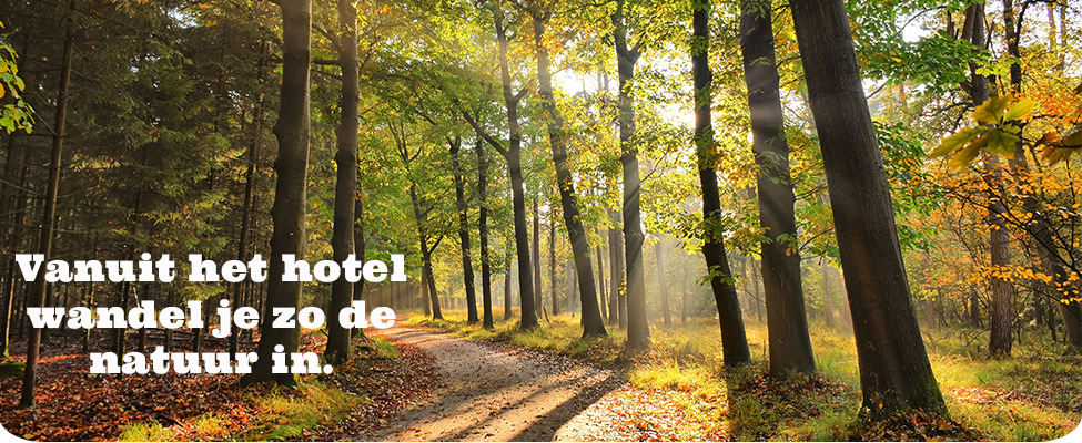 hotel in het bos hotel in het bos