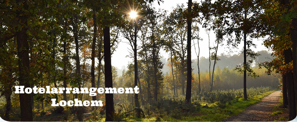 Hotel Lochem Hotel Lochem