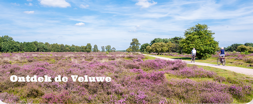 hotel Nunspeet hotel Nunspeet