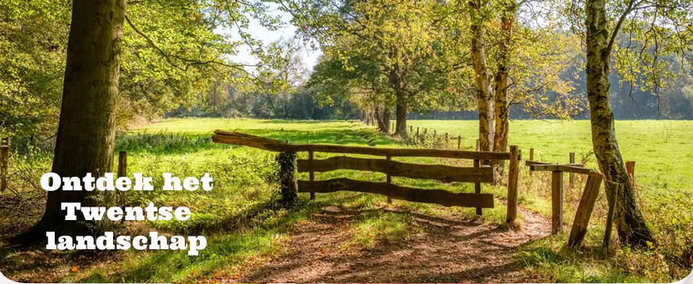 hotel twente hotel twente