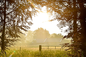 Fietsvakantie Twente Salland
