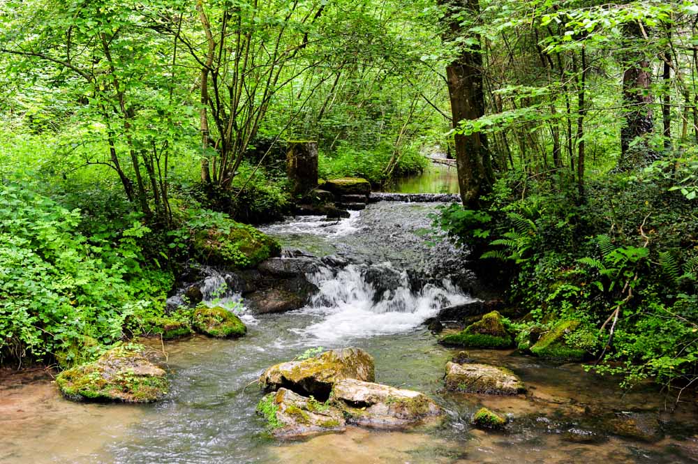 Ardennen Omgeving Activiteiten