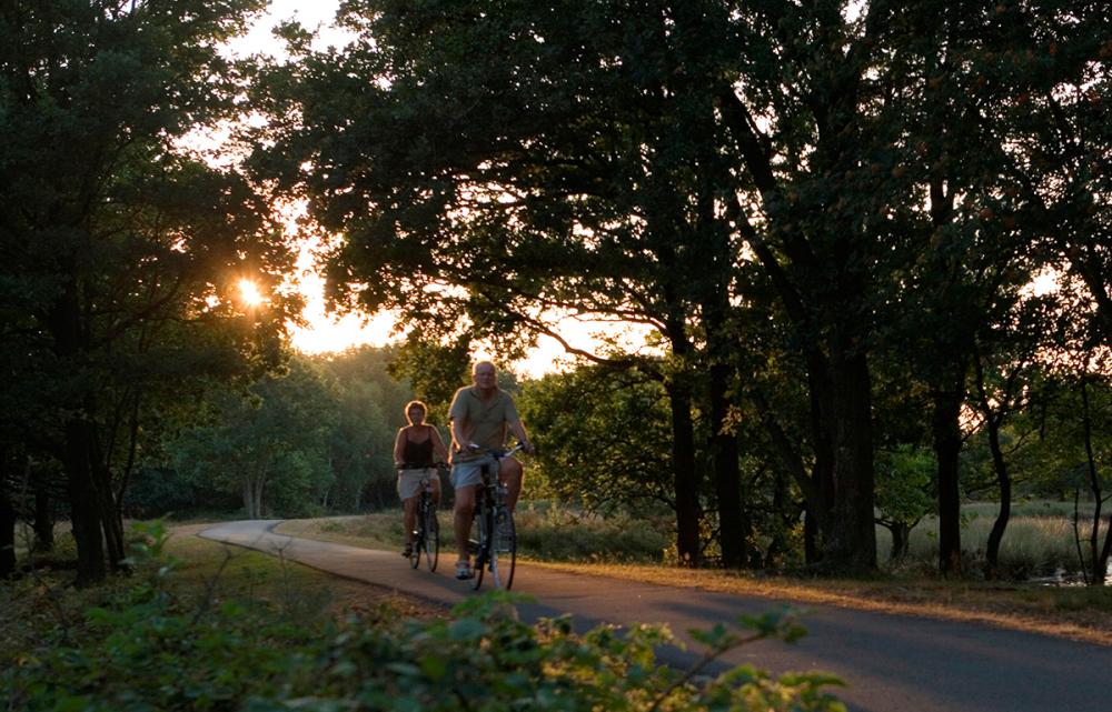 fietsvakantie de kop van drenthe