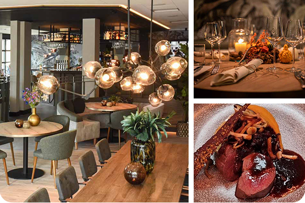 hotel de zwaan raalte wild