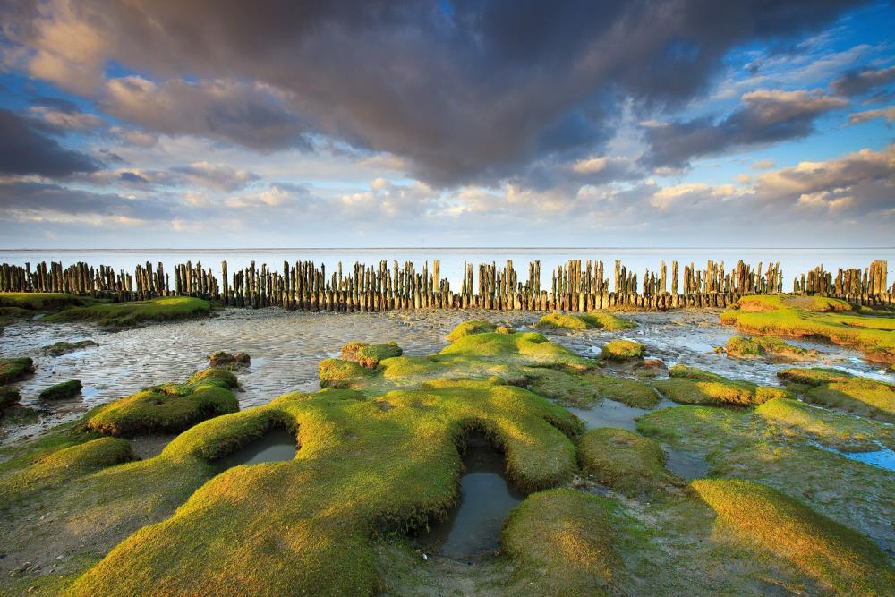 wadden groningen delfzijl