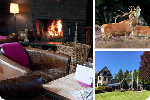 veluwe hotel stakenberg wildarrangement