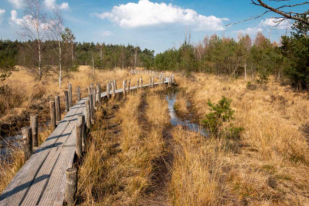 Omgeving Drenthe Wandelen Fietsen