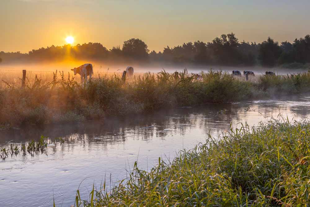 overijssel arrangement hotel