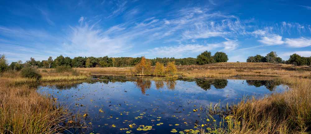 fietsen nationaal park meinweg limburg