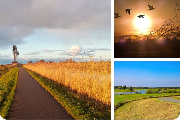 Fietsvakantie  langs het Trekvogelpad