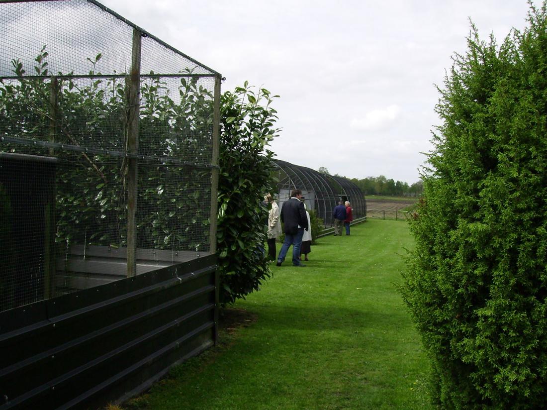 Vogelpark Ruinen
