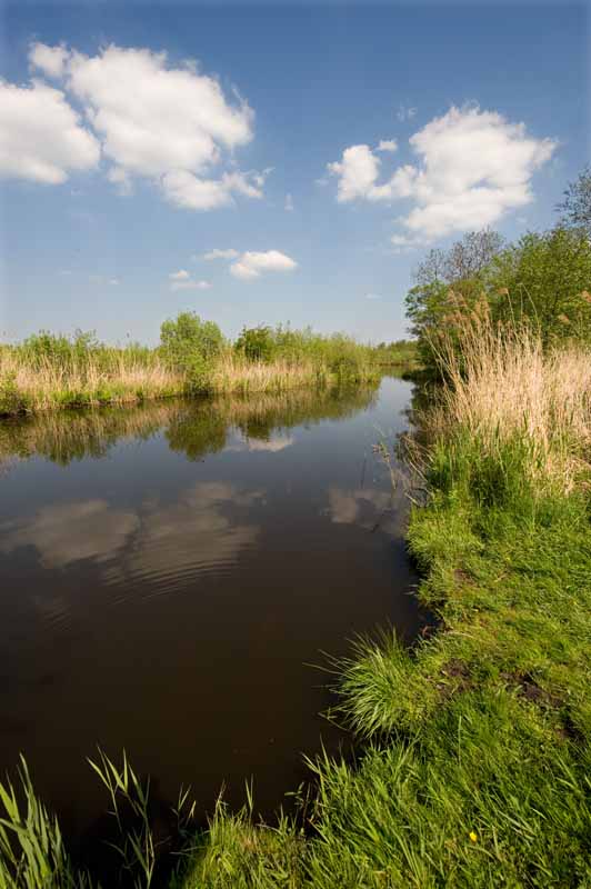 dreamstime xxl 5111719 Maarsseveense Plassen Utrecht