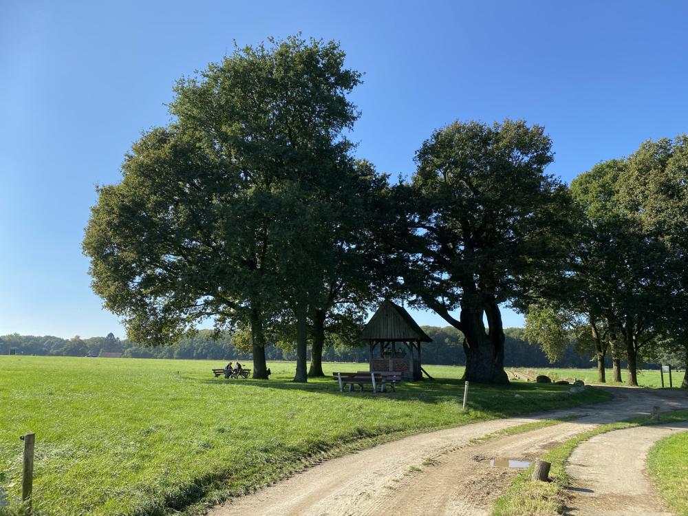 Oude Kroezeboom Twente