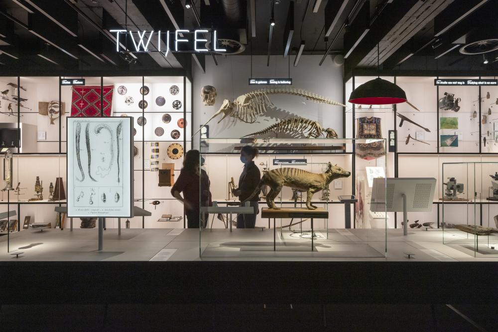 GUM 5430Karin Borghouts