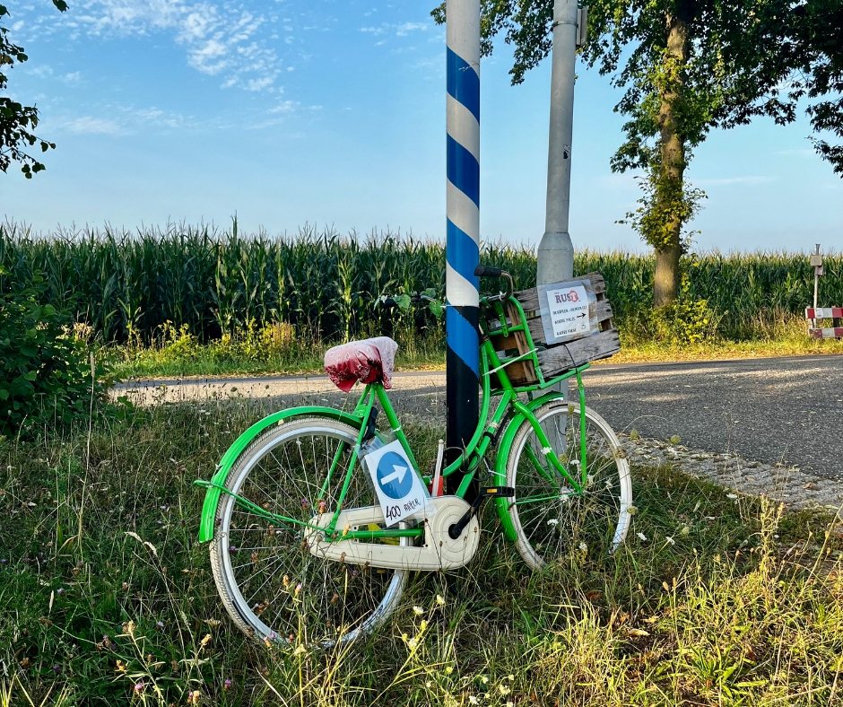 hotel arrangement aanbieding hotel de roode leeuw terborg gelderland