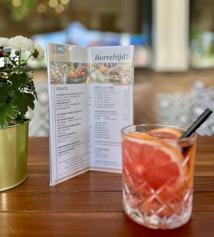 overnachten in nederland hotel de roode leeuw gelderland