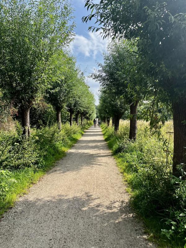 weekendje weg nederland hotel de roode leeuw terborg
