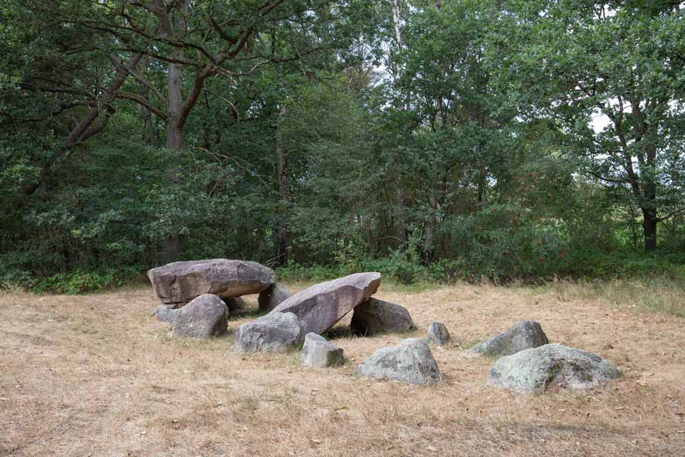 drentse hondsrug wandelen vakantie bagagevervoer