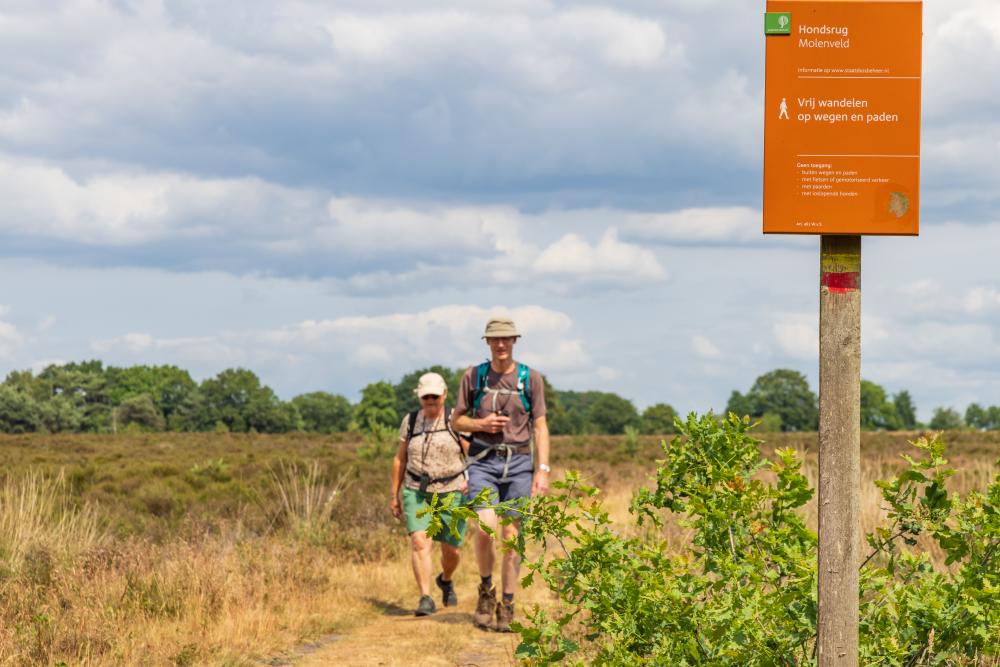 wandelvakantie hondsrug drenthe