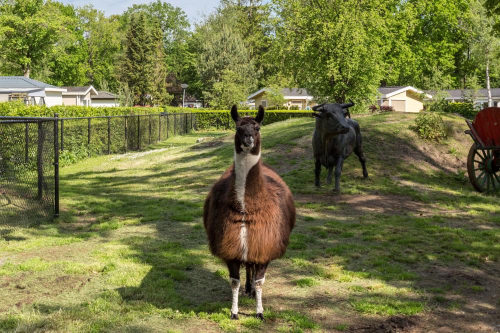 Residence De Eese Dierenweide