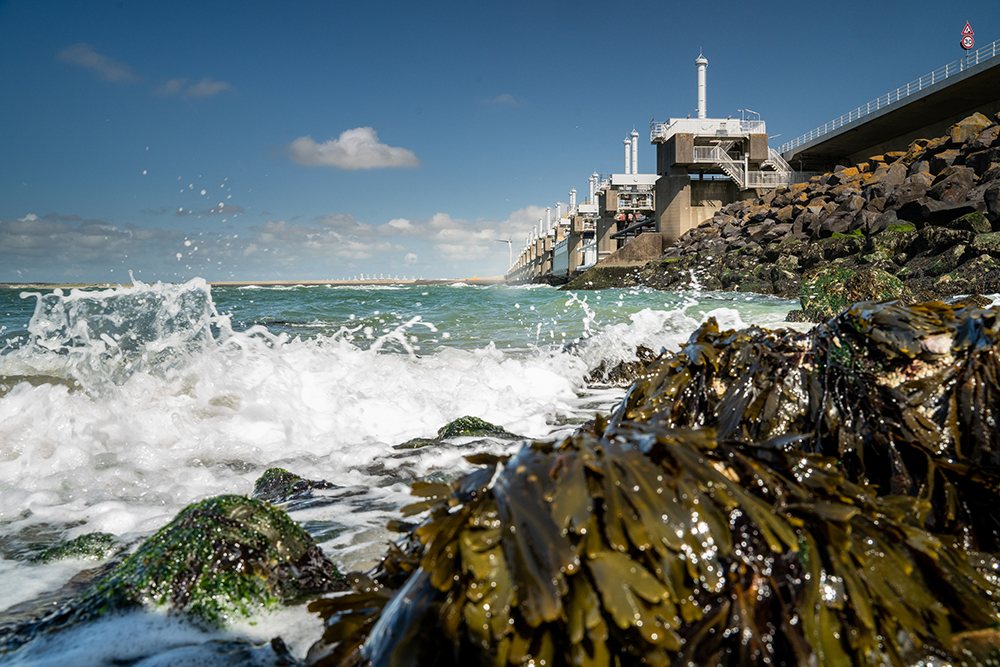 fietsvakantie nederlandse kustroute arrangement boeken lf kustroute zuid holland