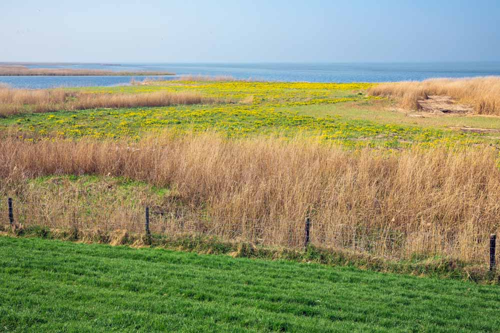 wandelen door  zuid west friesland hotelaanbieding