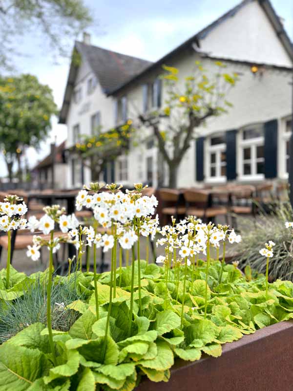 terras hotel limburg grubbenvorst