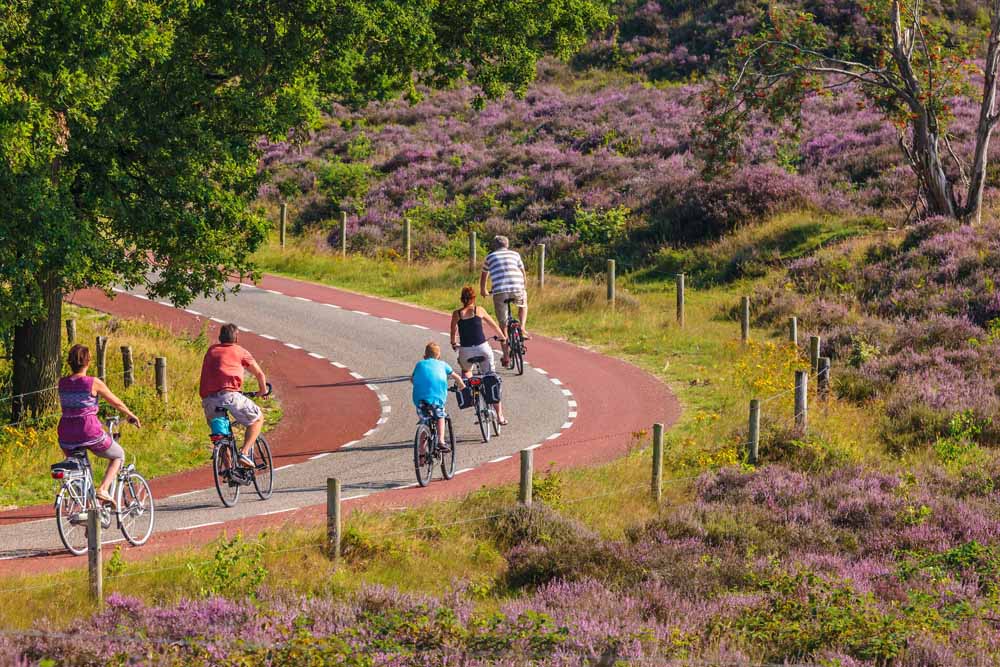 actie fietsvakantie nationaal park veluwezoom