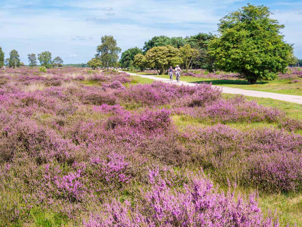 fietsvakantie trekvogelpad veluwe aanbieding