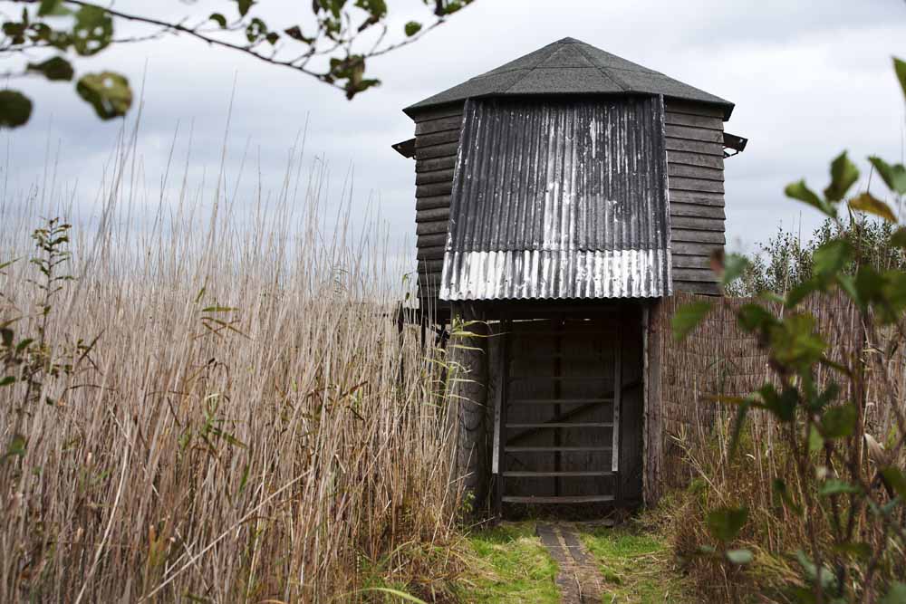 hotelaanbieding naarden vogelkijkhut  naardermeer