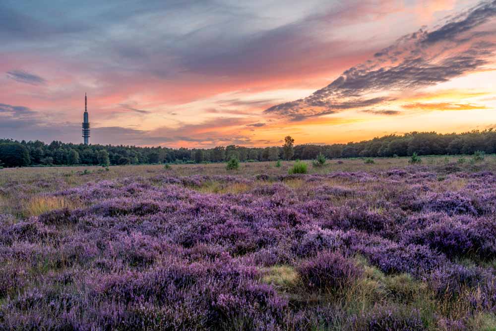 weekendje weg fietsvakantie bussumerheide