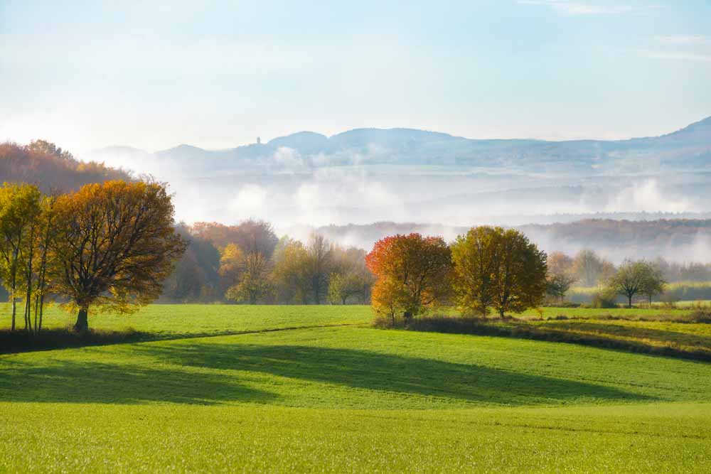 Westerwald Natuur WIndeck