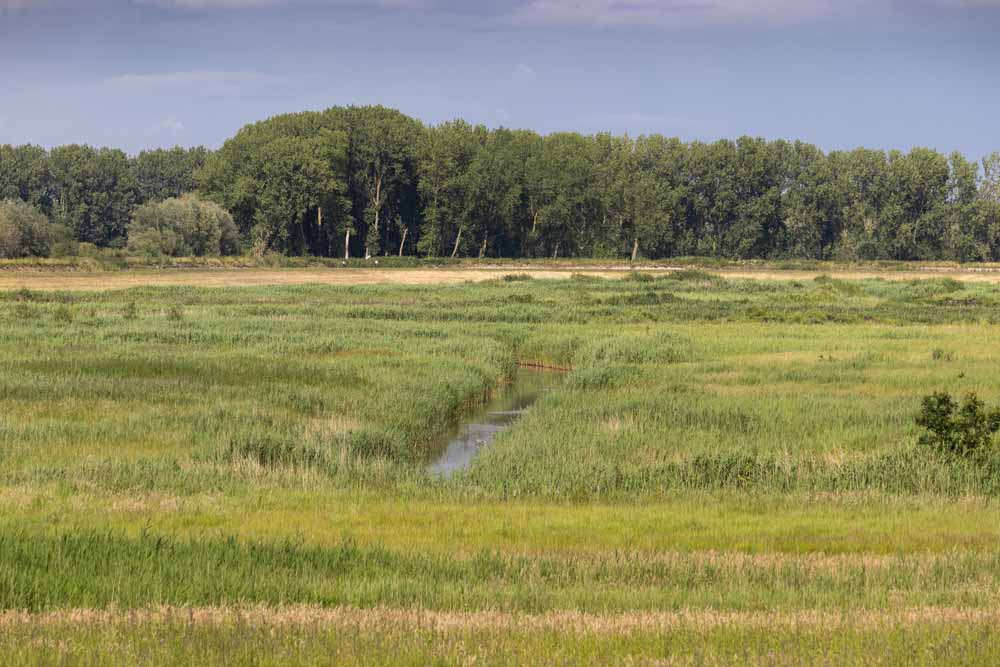 aanbieding fietsvakantie belgie schelde