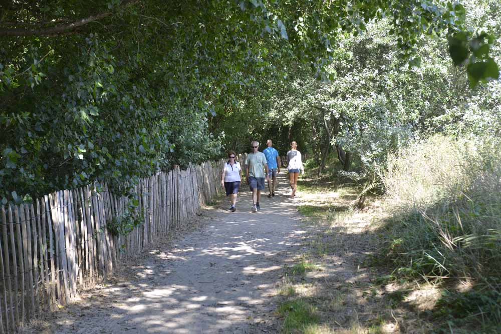 Hotel Les Mouettes kust strand