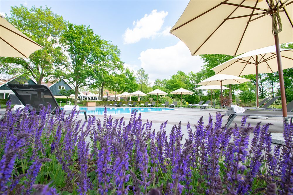 ootmarsum hotel arrangement hotel de wiemsel overijssel