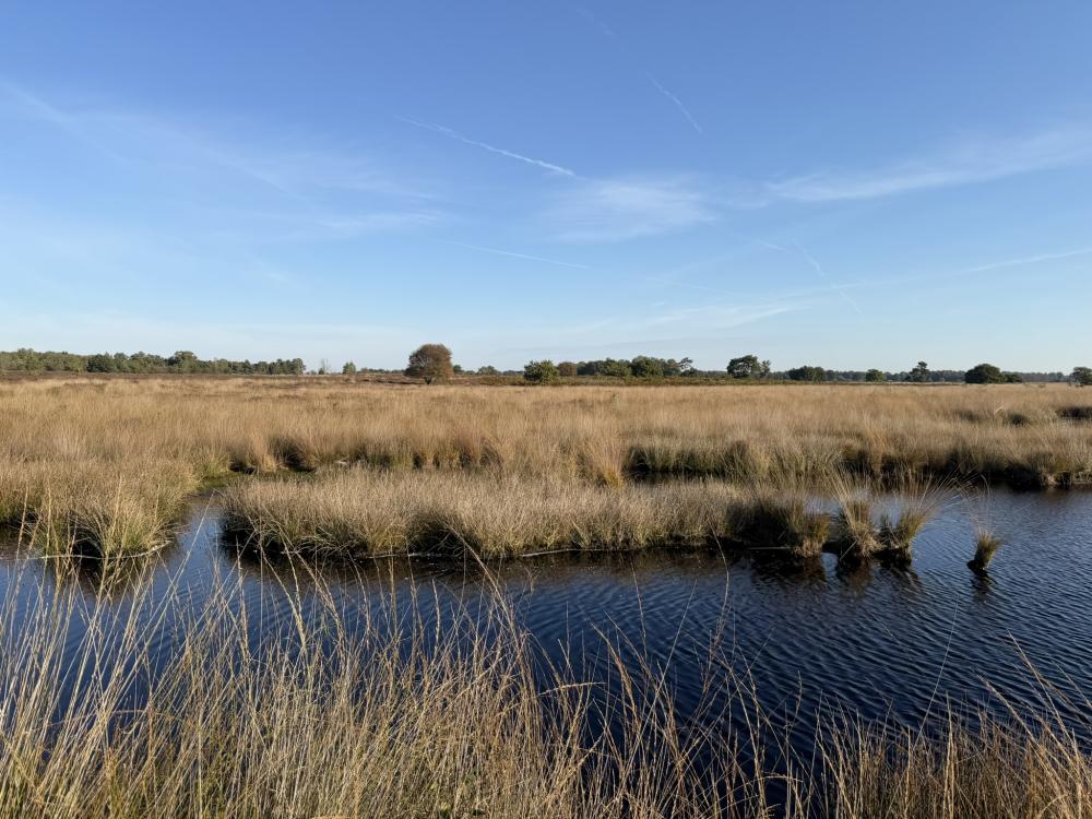 omgeving kloosterhaar engbertsdijksvenen weekendje weg