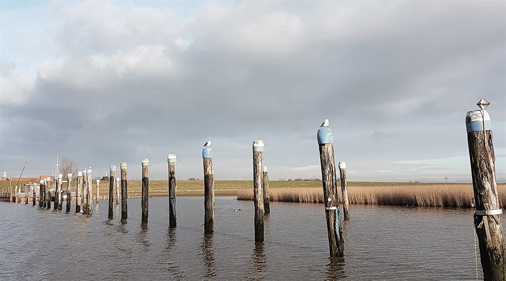 overnachting boeken duitsland am lindenhof bunde gmbh bunde