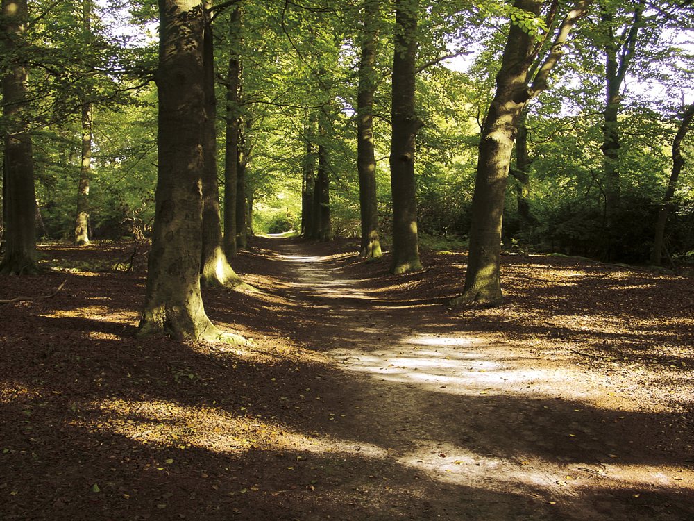 budget hotel hotel ernst sillem hoeve den dolder utrecht