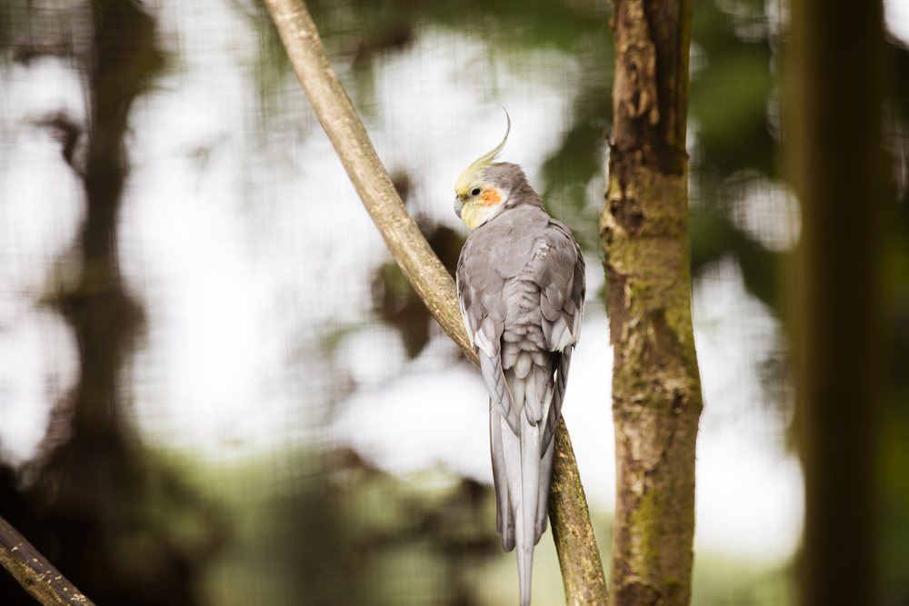 hulshorst korte trip veluwe hotel de beyaerd gelderland