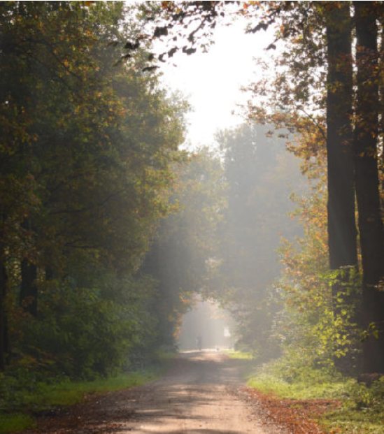 hotel het montferland hotel korting zeddam gelderland