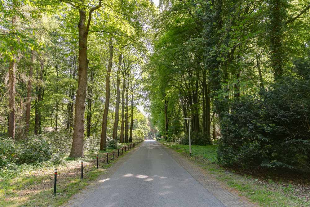 Oprijlaan   Landgoed Zonheuvel