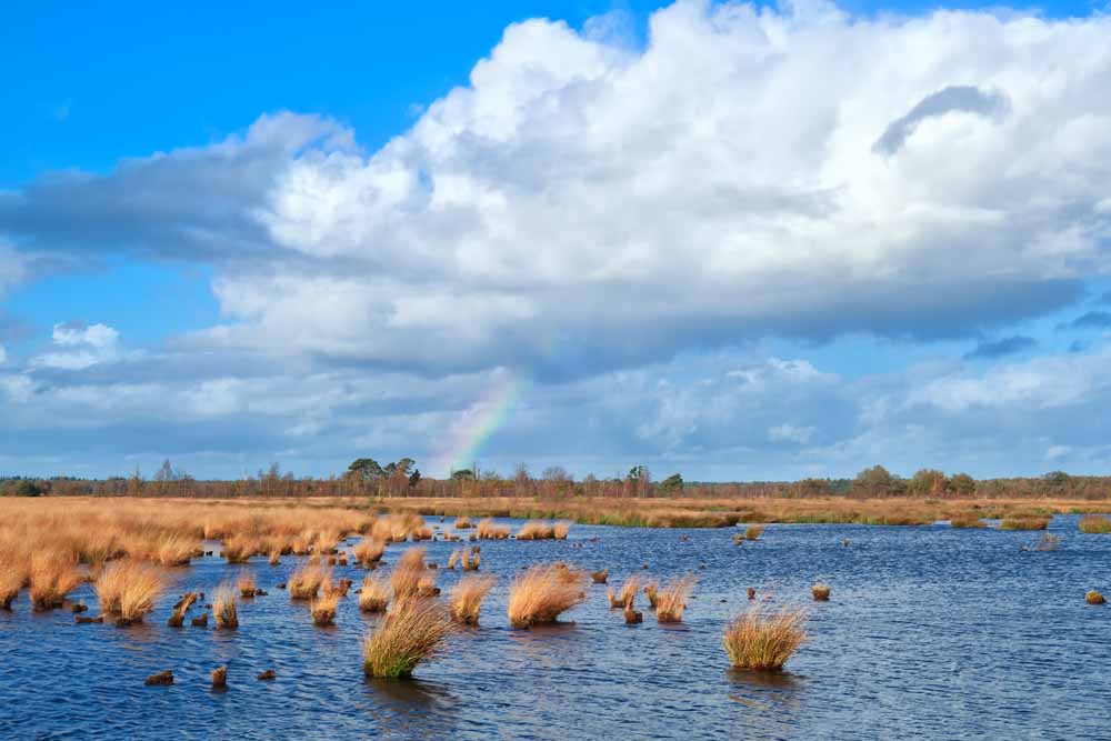 Dwingelderveld nationaal park