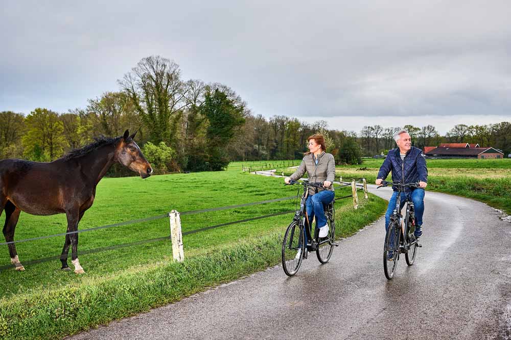 fietsen door twente omgeving de lutte