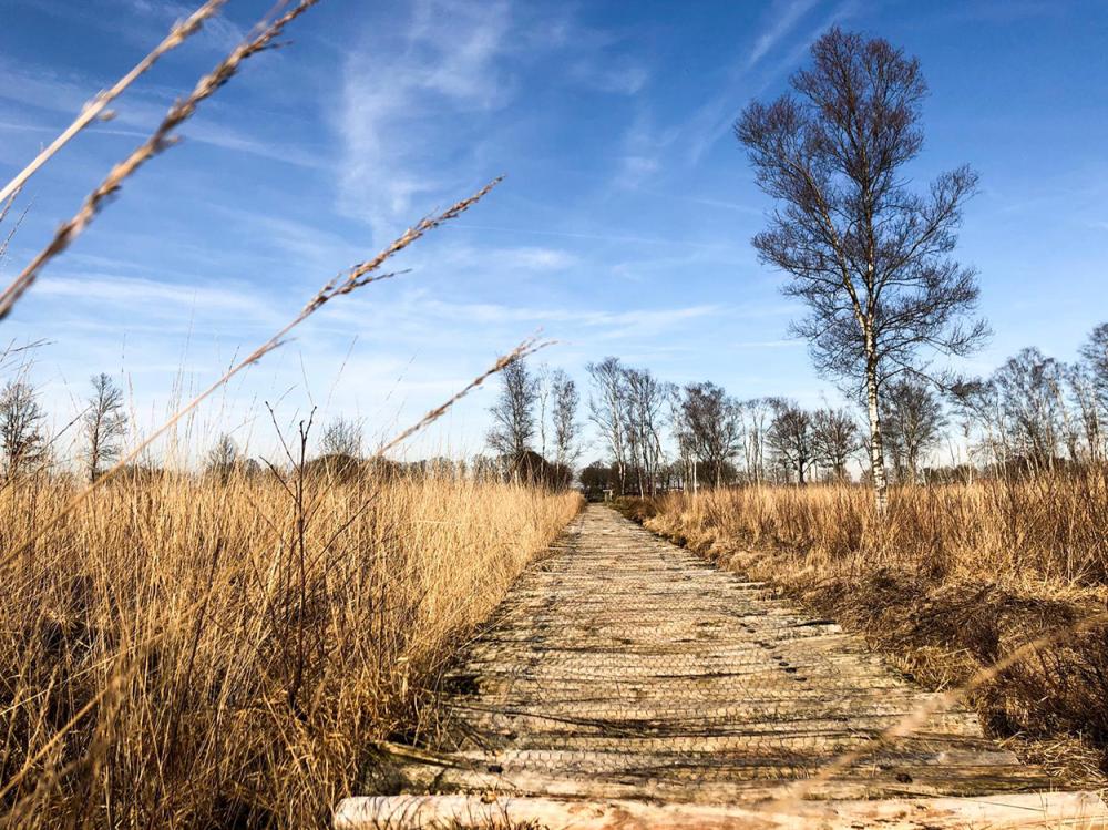 Hotelaanbieding Overijssel Westerhaar Omgeving