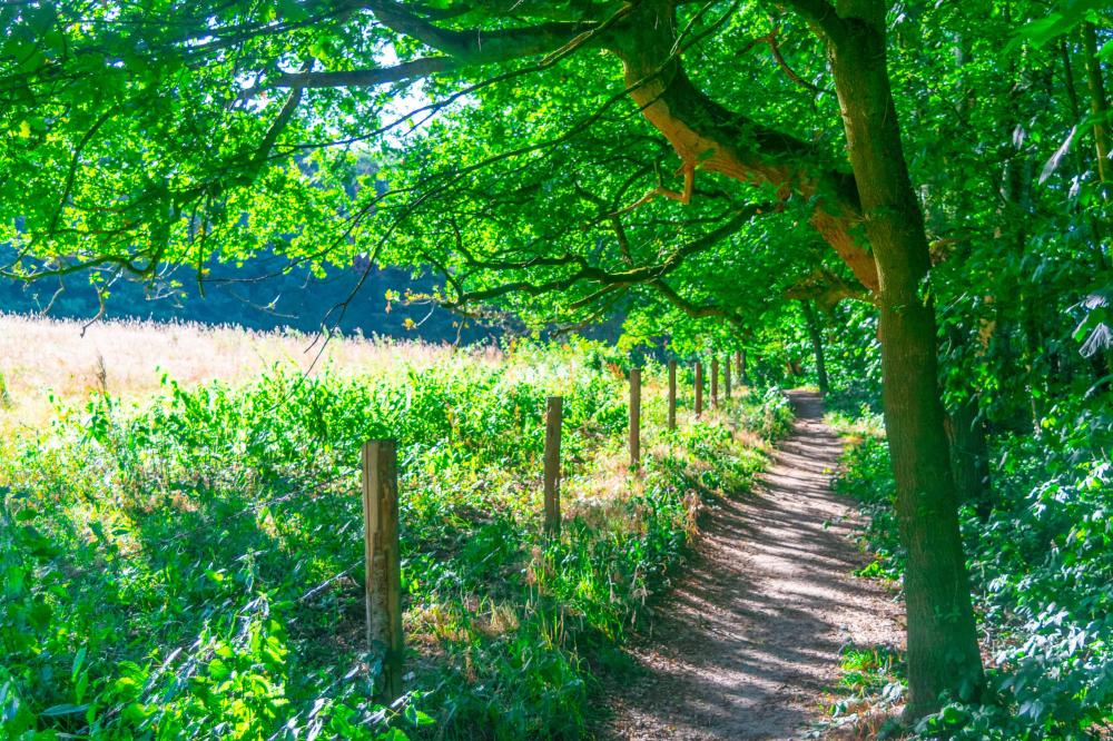 wandelen achterhoek gelderland hotelaanbieding